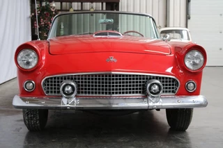 Ford Thunderbird 1955 - V8 obrazek 4