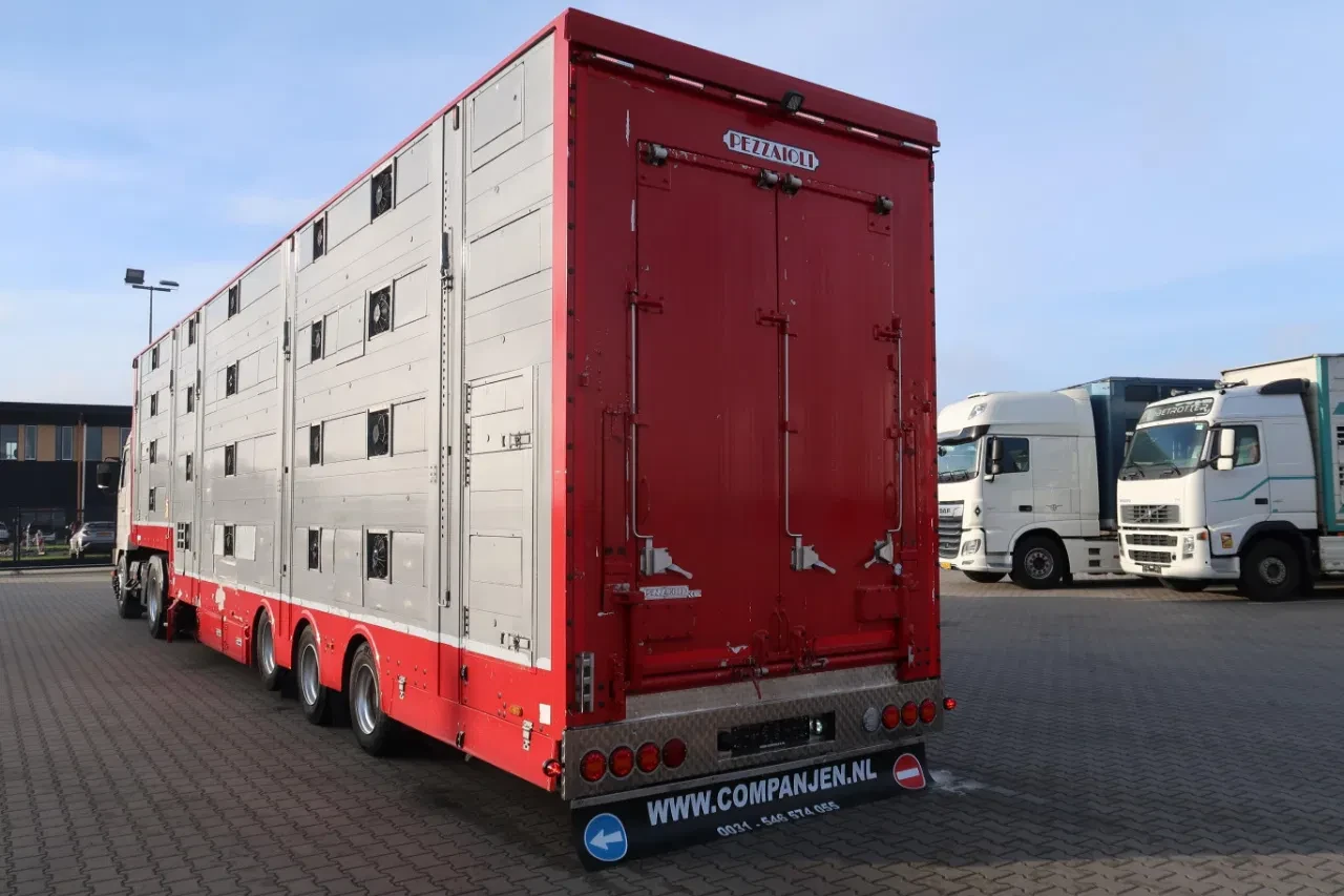 Pezzaioli 2016 - SBA 31 - Cattle transport - 2016 afbeelding 26