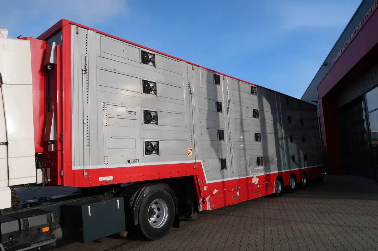 Pezzaioli 2016 - SBA 31 - Cattle transport - 2016 afbeelding 4