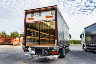 MAN TGX 2021 - 18.400 XLX+HAYON obrazek 6
