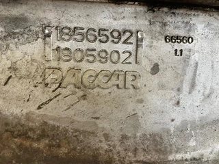 DAF N/A - 1856592 / 2184216 VLIEGWIELHUIS MX-13 immagine 3