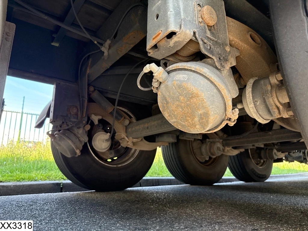 Fruehauf 2018 - Tautliner Dhollandia afbeelding 7