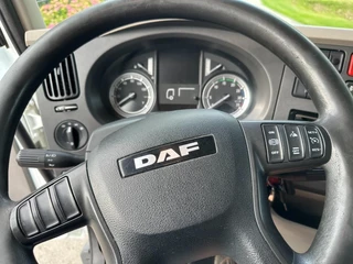 DAF LF 250 FA 2016 - N/A obrazek 32