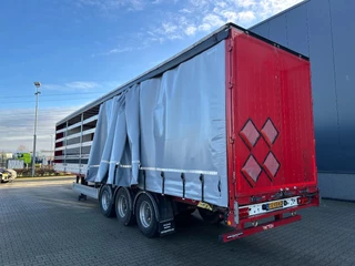 Pacton N/A 2020 - nieuwe zeilen / alu zijborden + planken / hardhouten vloer / NL-trailer / APK: 08-2026 afbeelding 33