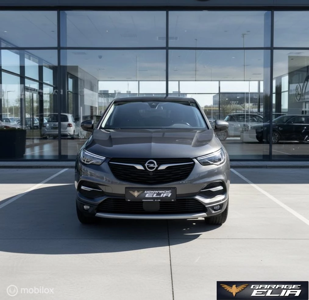 Opel Grandland X 2021 - 1.2 Turbo Business Elegance| Navi | PDC Bild 3