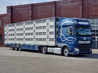 Pezzaioli 2017 - + Daf XF - 3/4 deck livestock - 134.8m2 - Water & Ventilation - Lifting roof te koop