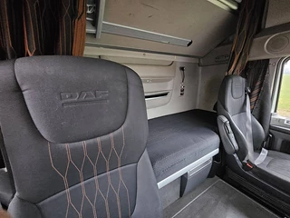 DAF XF480 2020 - N/A immagine 15