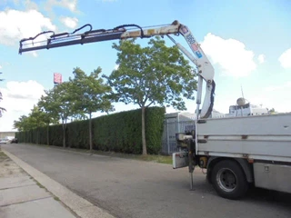 Volvo FL 2008 - 280 NL TRUCK obrazek 4