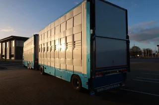 CUPPERS N/A 2007 - LVA 10-10 AL - Pig transporter изображение 3