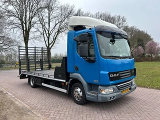 DAF LF 2008 - 45.160  Oprijwagen obrazek 2