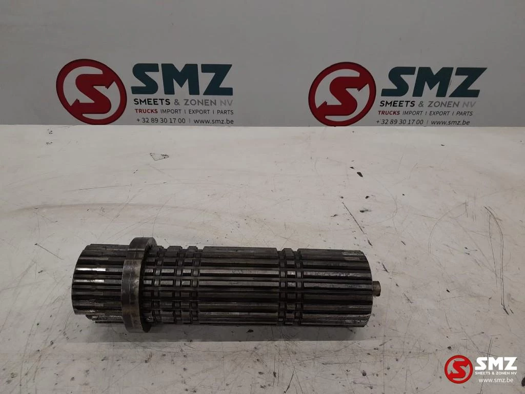 ZF - Occ primaire as ZF immagine 1
