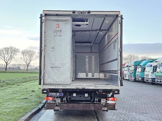 Iveco Eurocargo 2019 - 140E28 immagine 14