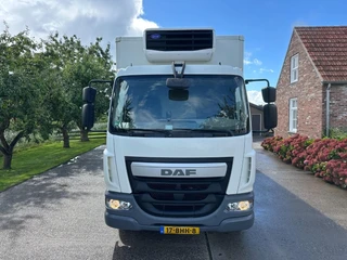 DAF LF 250 FA 2015 afbeelding 3 miniatuur