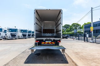 Renault N/A 2017 - D14 250 + DHOLLANDIA obrazek 10