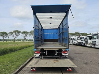Scania P 2021 - P250 obrazek 15