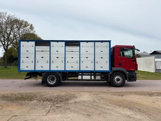 MAN TGM 2013 - 18.340 4X2 C RIJBEWIJS Veewagen imagen 4