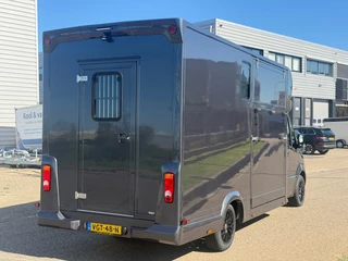 Mercedes-Benz Sprinter 2020 - 314CDI Paardenwagen Horsetruck TVW Hengsten Uitvoering L3 Automaat Airco obrazek 5