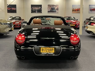 Ford Thunderbird 2003 - USA Convertible 4.0i V8 Premium Automaat obrazek 13