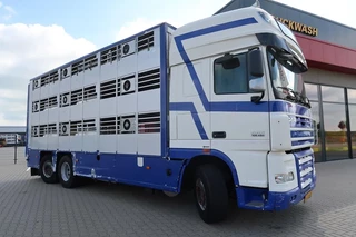 DAF XF 105 2012 - XF 105-460 - 2012 - 2-3 floors, Pigs transport image 4