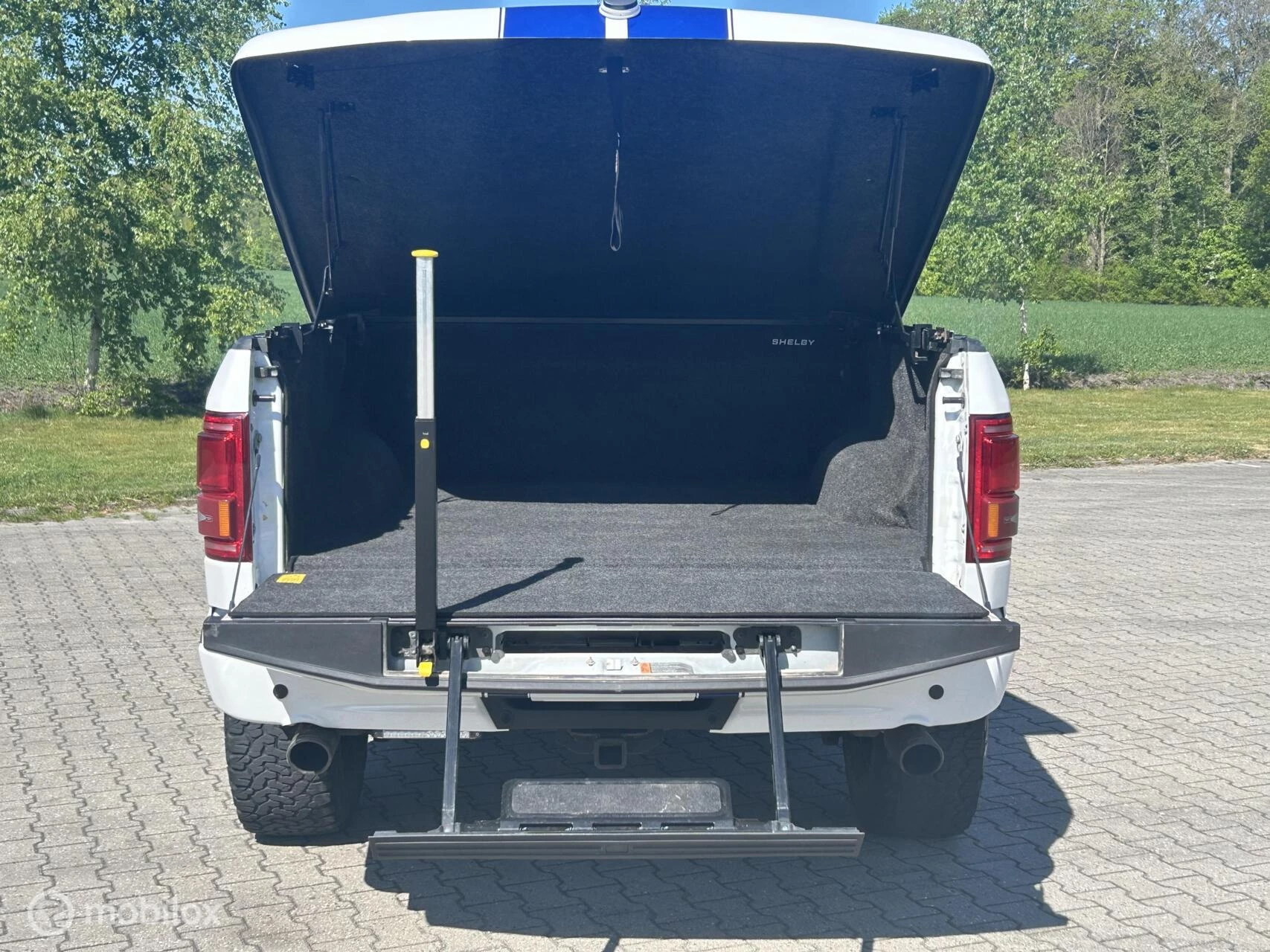 Ford F-150 2016 - USA Shelby zdjęcie 9