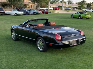 Ford Thunderbird 2003 - USA Convertible 4.0i V8 Premium Automaat obrazek 4