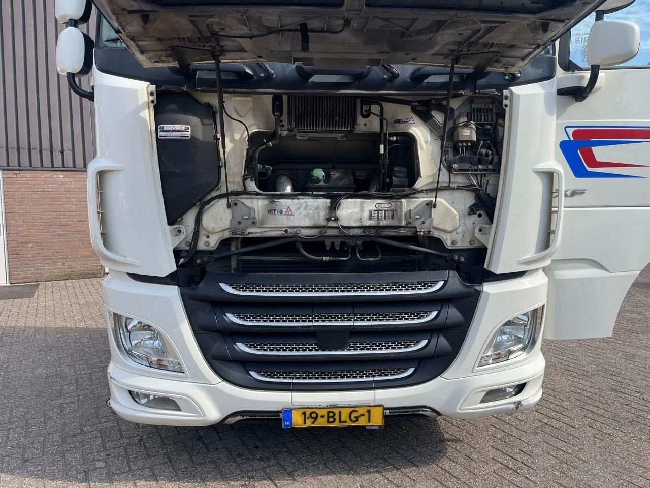DAF XF480 2018 - FT afbeelding 17