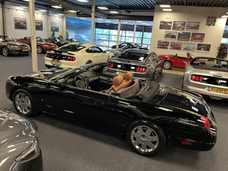 Ford Thunderbird 2003 - USA Convertible 4.0i V8 Premium Automaat obrazek 17
