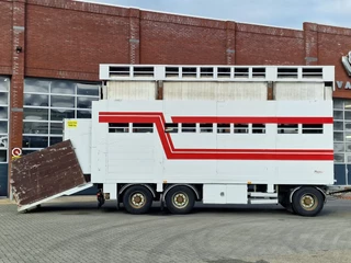 Samro N/A 2012 - 3 axle - 2 deck livestock - Lifting roof - Regnault box zdjecie 32