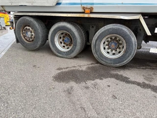 Scania R 2010 - R560 V8 immagine 6