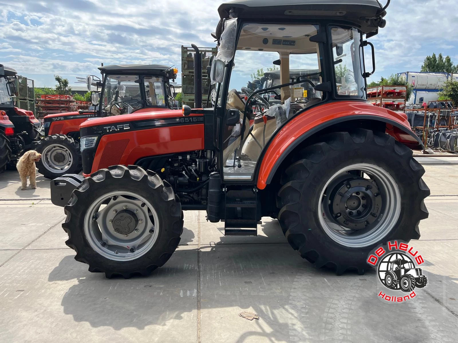 Tafe - 6515 4wd. immagine 4