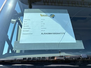 DAF CF 290 2014 - N/A immagine 44