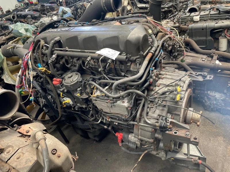 DAF 2013 - MX-13 303 H1 afbeelding 1