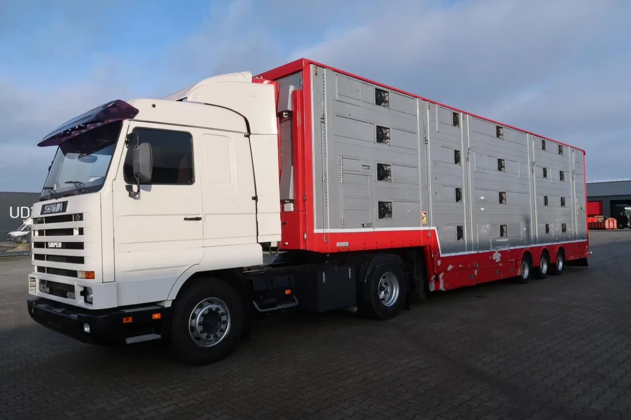 Pezzaioli 2016 - SBA 31 - Cattle Transporter 93.13m2 immagine 2