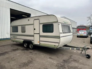 Munsterland 550 1980 - Luxus immagine 3