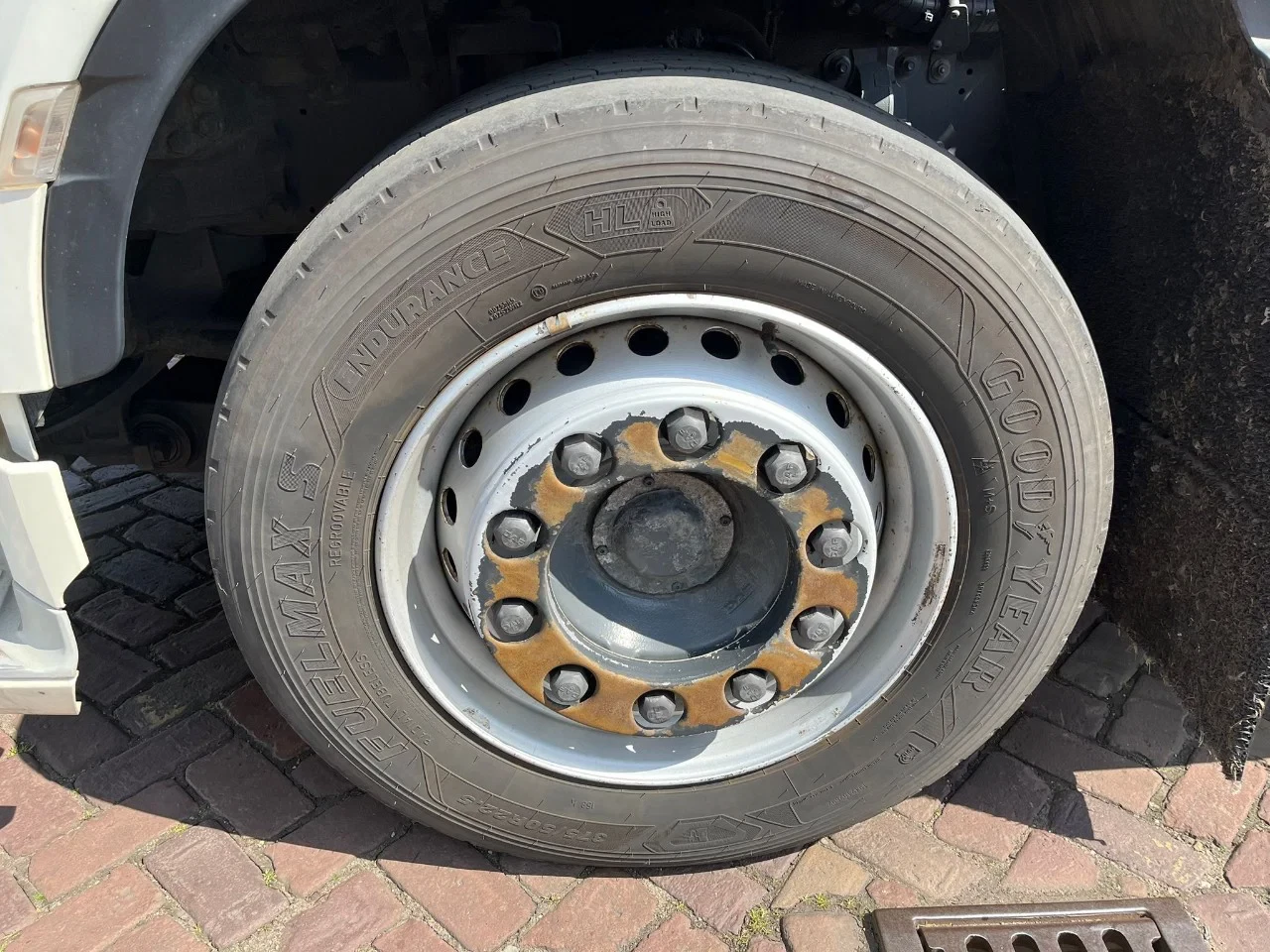 DAF XF 450 2019 - FAN immagine 41