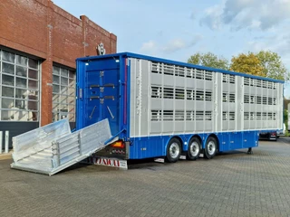 Pezzaioli N/A 2026 - New 3 stock livestock trailer 95.4M2 - Water & Ventilation - Lifting floors - Lifting roof - Lift axle immagine 10