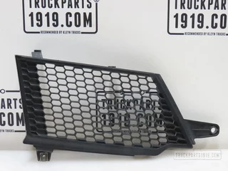 Scania N/A - 2307647 Grille rooster Re. Scania afbeelding 1