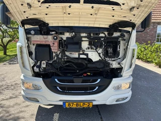 DAF LF 290 FA 2018 - N/A zdjecie 4