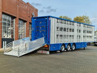 Pezzaioli N/A 2026 - New 3 stock livestock trailer 95.4M2 - Water & Ventilation - Lifting floors - Lifting roof - Lift axle immagine 16