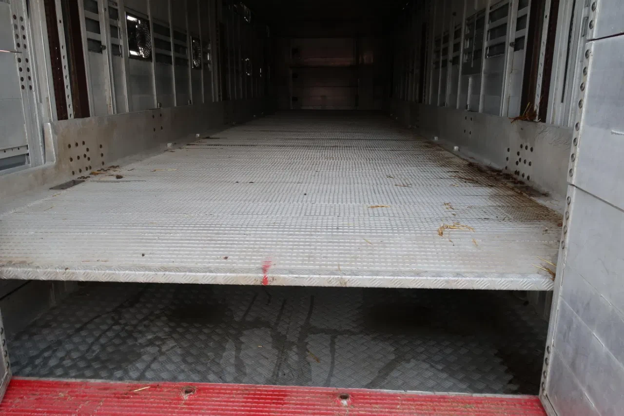Pezzaioli 2016 - SBA 31 - Cattle transport - 2016 afbeelding 25
