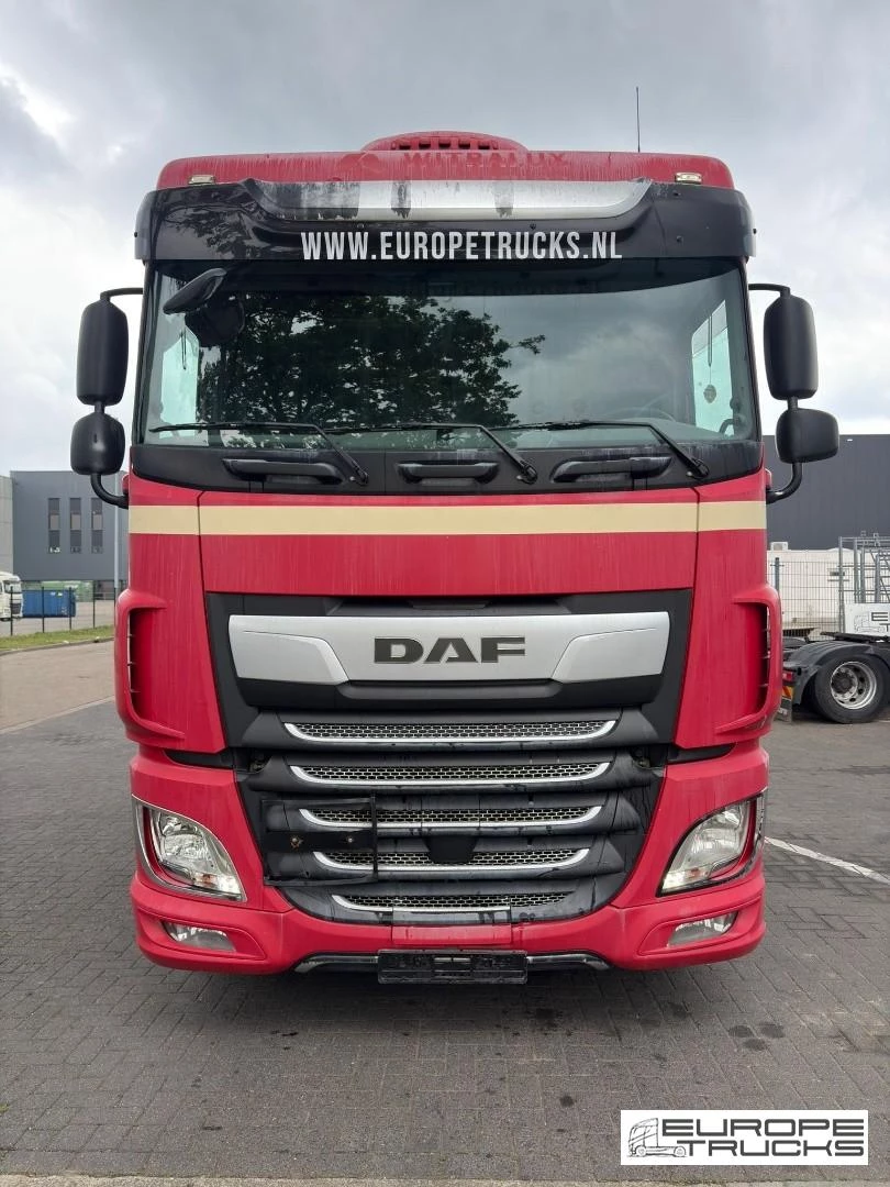 DAF XF480 2019 afbeelding 8