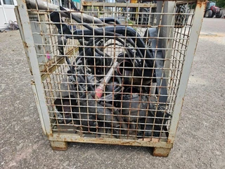MAN Bak met vrachtwagen onderdelen - N/A obrazek 3