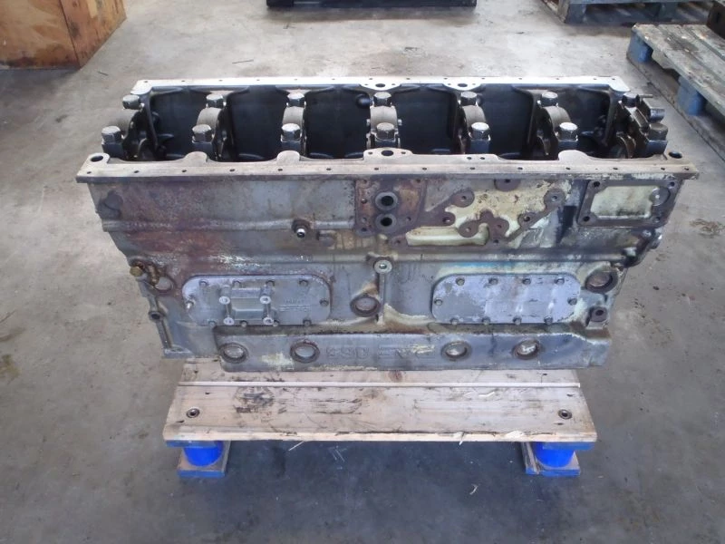 DAF - CILINDERBLOK 865 immagine 1