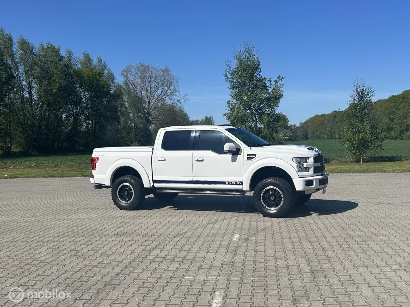 Ford F-150 2016 - USA Shelby zdjęcie 13
