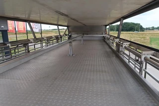 DAF XF 105 2012 - XF 105-460 - 2012 - 2-3 floors, Pigs transport image 44