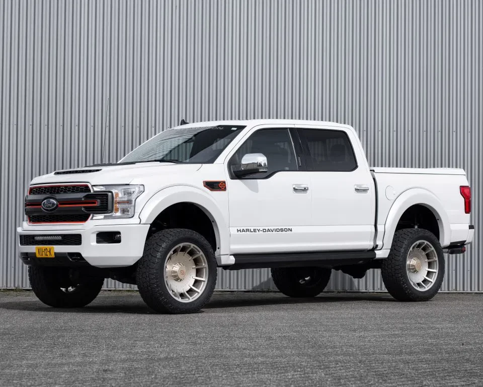 Ford F-150 2019 - (USA) Harley Davidson V8 5.0L Tuscany Motor Co. afbeelding 3
