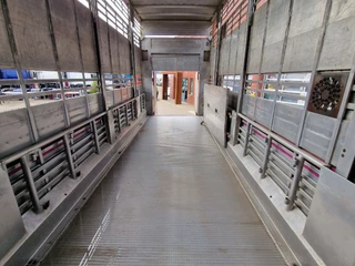 Pezzaioli N/A 2005 - 2 deck livestock - Lifting floor - Lifting roof - Ventilation - BPW Axle zdjecie 21