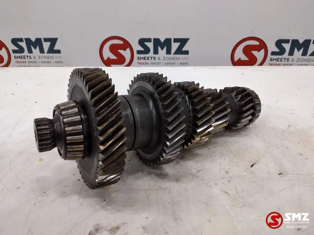 ZF - Occ primaire as ZF immagine 3