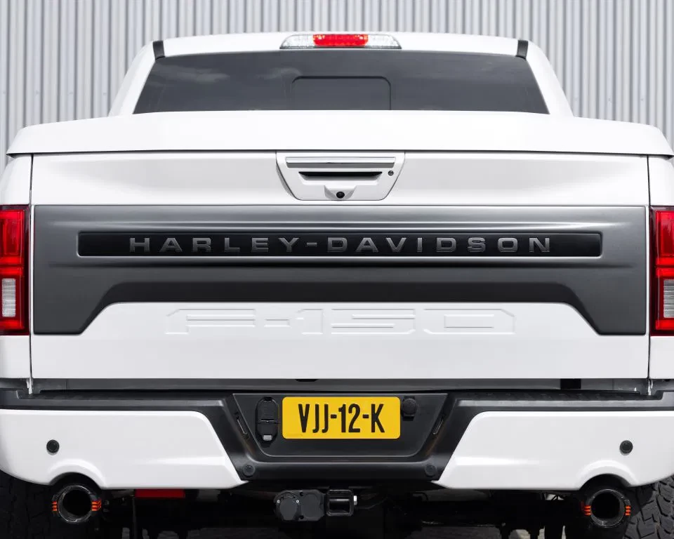 Ford F-150 2019 - (USA) Harley Davidson V8 5.0L Tuscany Motor Co. afbeelding 33