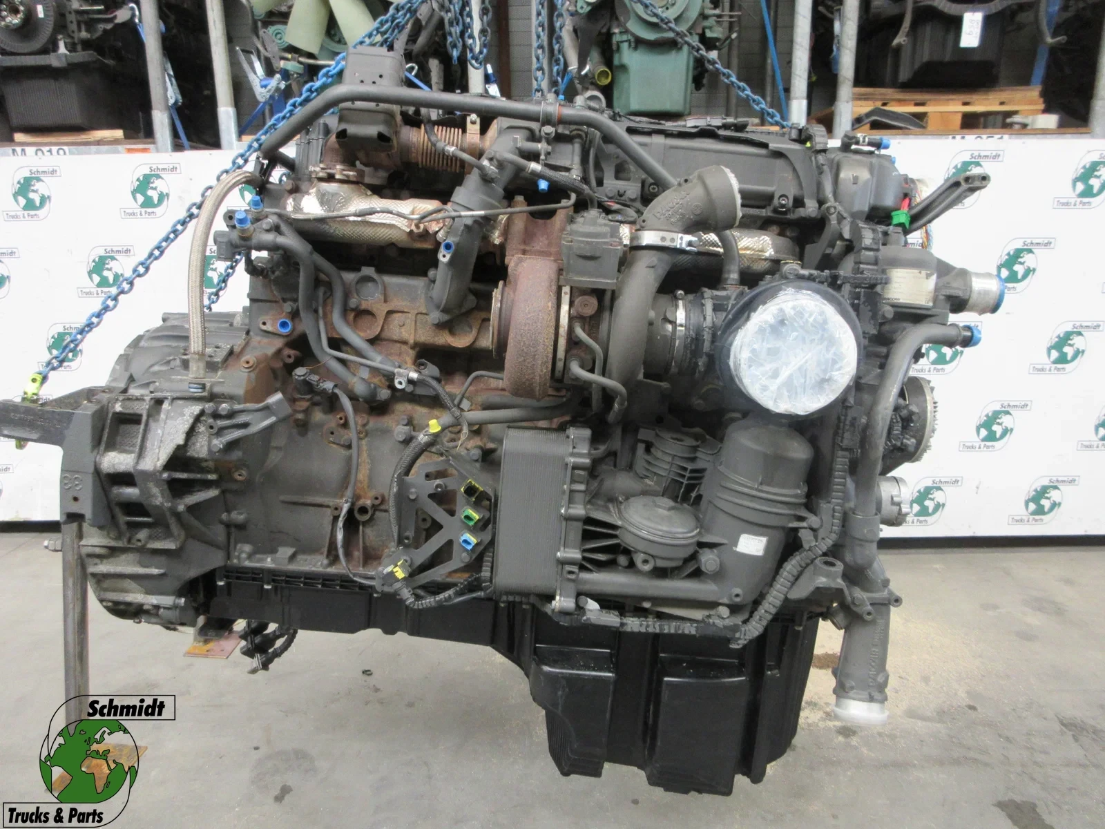 DAF - 2441370 // 2353631 // 2341228 // 2304398 MX13 355 H5 afbeelding 1